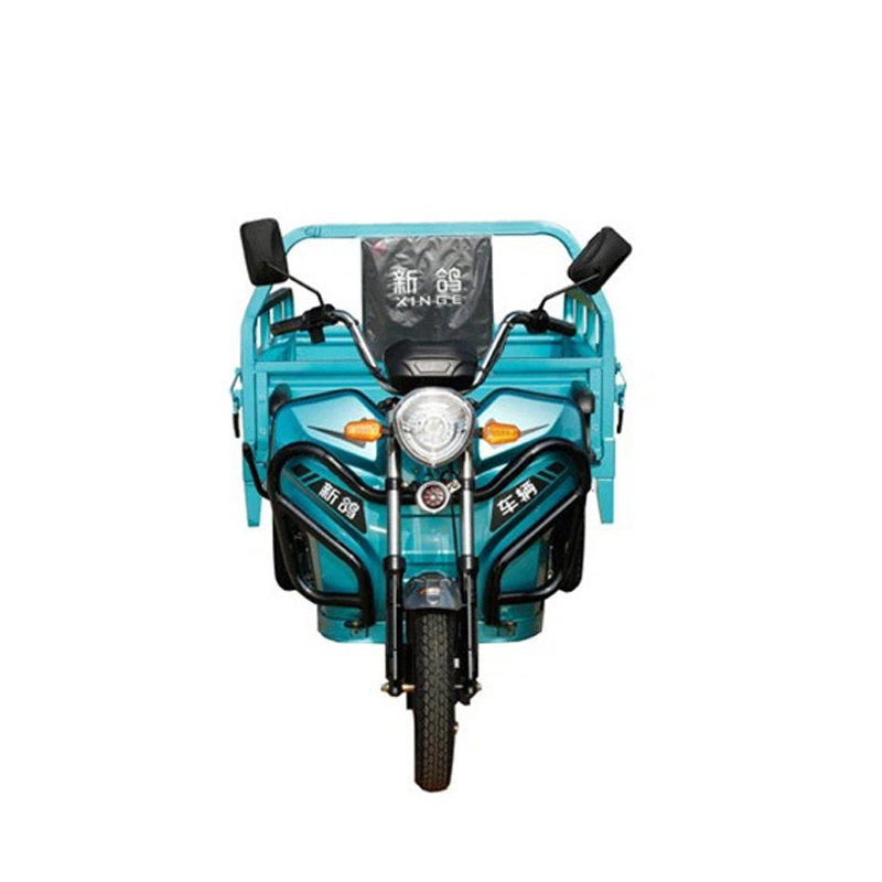 800W אופניים חשמליים