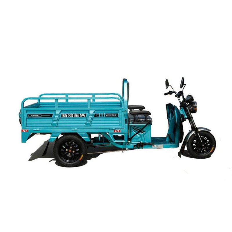 800W אופניים חשמליים