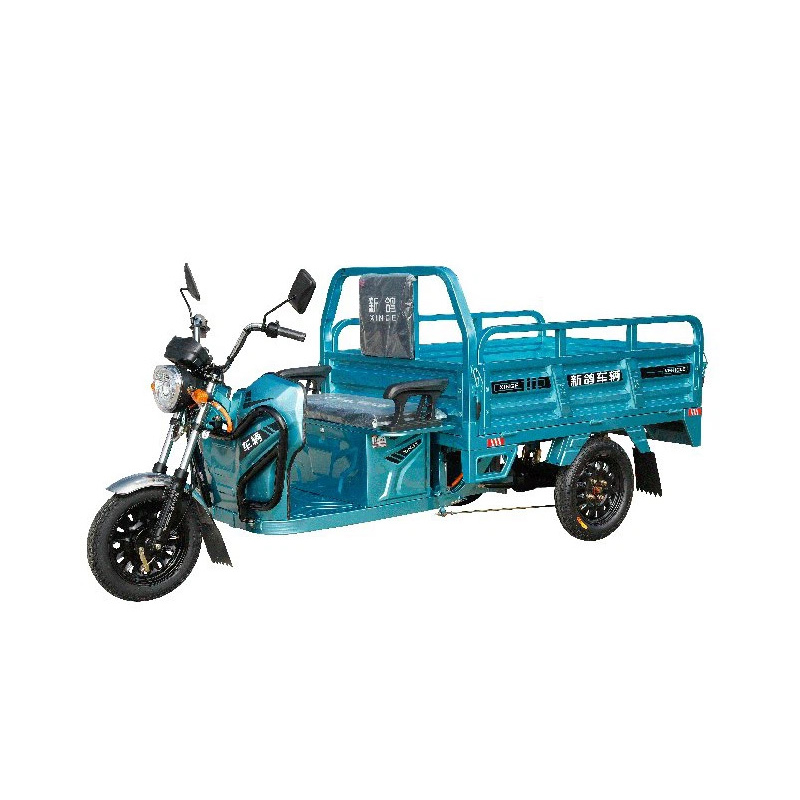 800W אופניים חשמליים